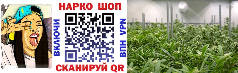 Конопля Ужур