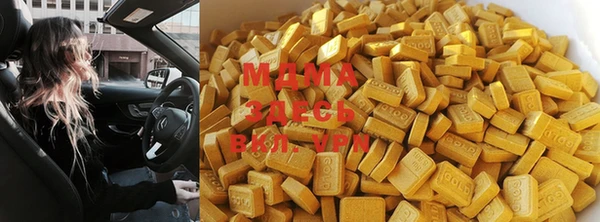 прущие грибы Абинск