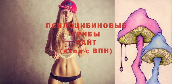 прущие грибы Абинск
